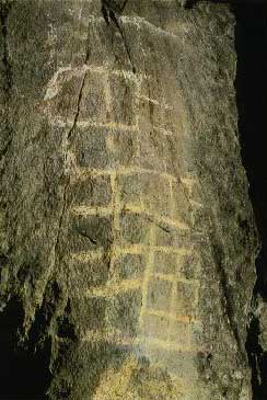Ingrandisci