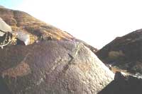 Ingrandisci