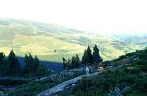 panorama