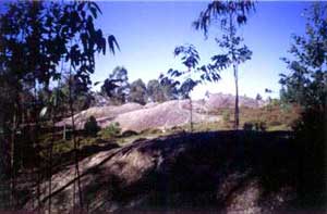 panorama2