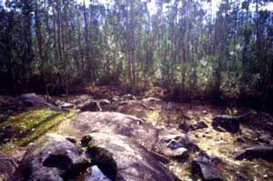 panorama4.