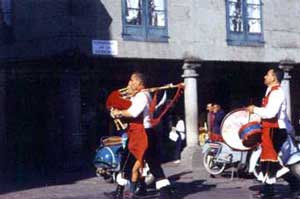 suonatori