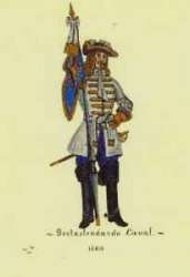 Ingrandisci