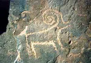 Ingrandisci