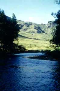 Ingrandisci